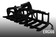 ERG66